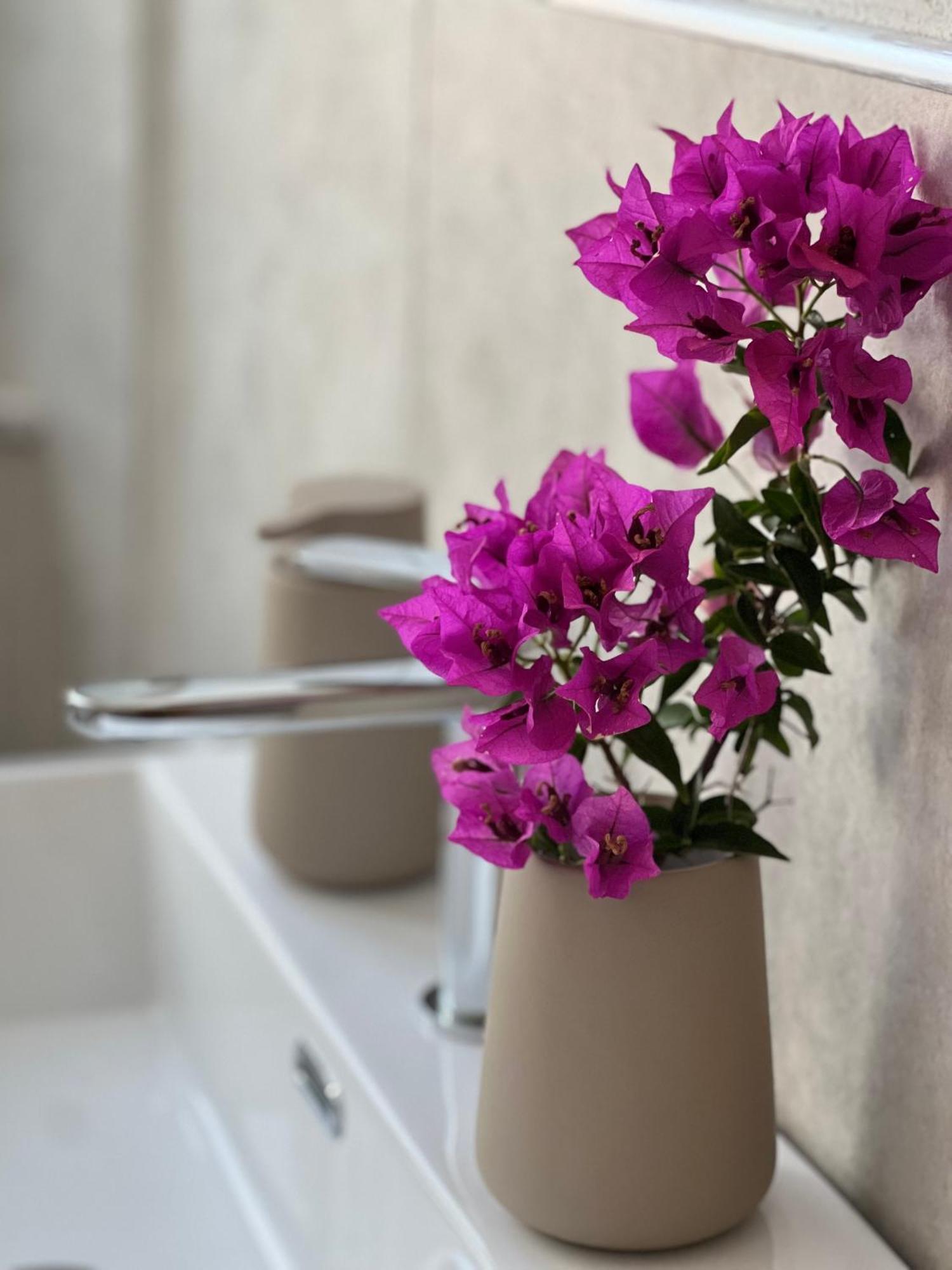 Il Mandorlo Bed & Breakfast Santa Teresa Gallura Luaran gambar